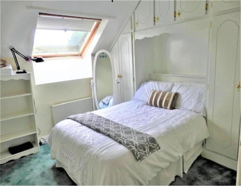 캐슬마인 Leabrook House B&B 외부 사진