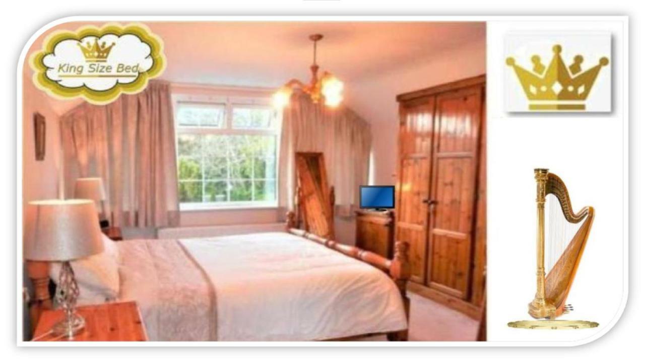 캐슬마인 Leabrook House B&B 외부 사진