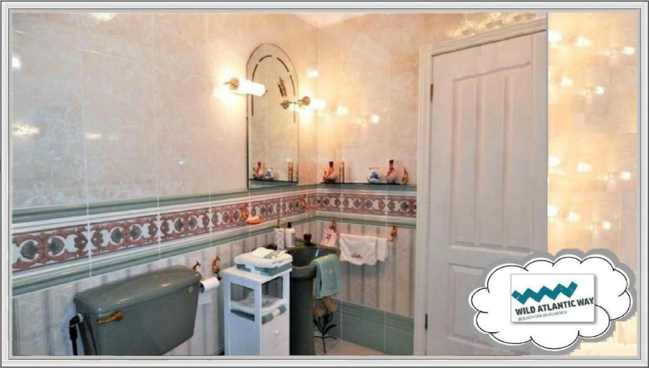 캐슬마인 Leabrook House B&B 외부 사진