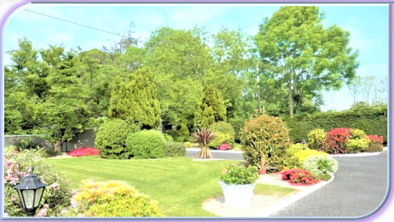 캐슬마인 Leabrook House B&B 외부 사진